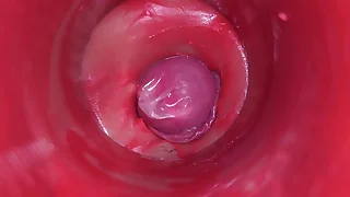 620 toy porn videos